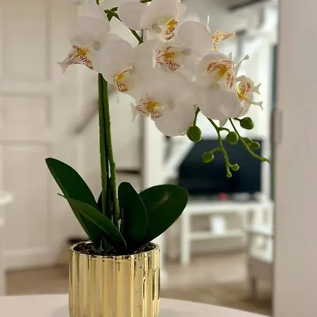 Apartmán Roxy 4-b Budapešť