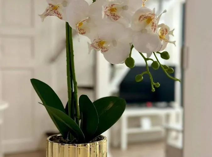 Apartament Roxy 4-b Budapesta