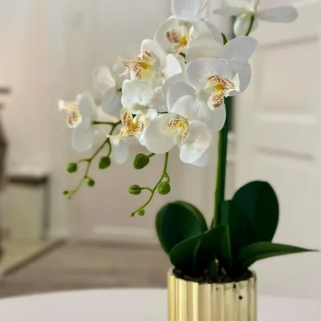 Roxy 4-b شقة بودابست